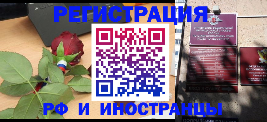 найти адрес прописки в Кольчугино